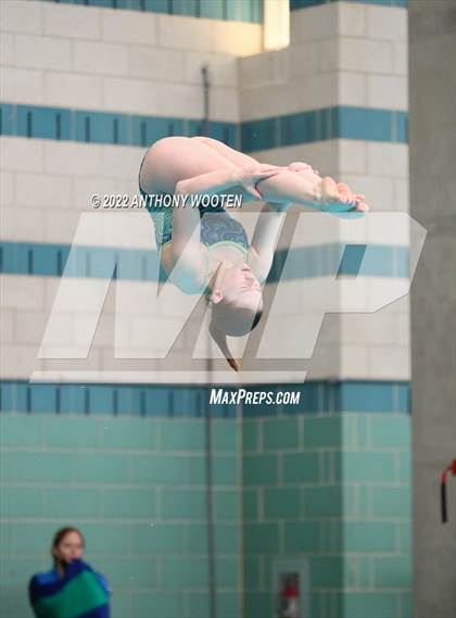 Thumbnail 1 in NCHSAA 3A State Diving Championships photogallery.