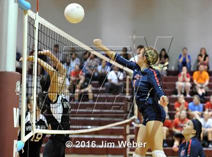 Thumbnail 1 in Fivay @ Wiregrass Ranch photogallery.