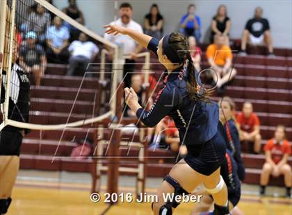 Thumbnail 3 in Fivay @ Wiregrass Ranch photogallery.