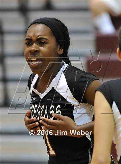 Thumbnail 1 in Fivay @ Wiregrass Ranch photogallery.