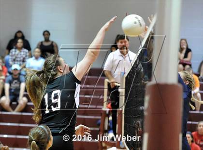 Thumbnail 1 in Fivay @ Wiregrass Ranch photogallery.