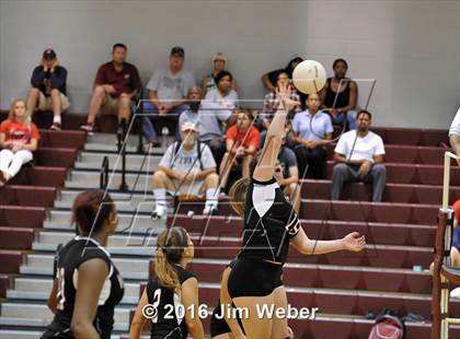 Thumbnail 1 in Fivay @ Wiregrass Ranch photogallery.