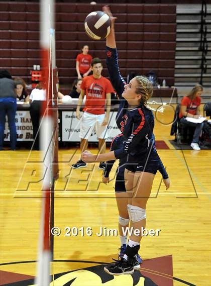 Thumbnail 3 in Fivay @ Wiregrass Ranch photogallery.