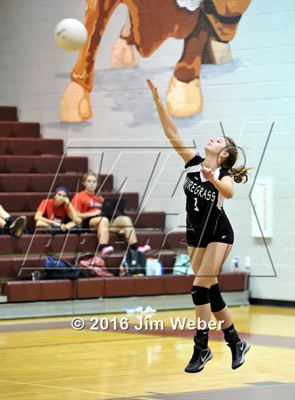 Thumbnail 3 in Fivay @ Wiregrass Ranch photogallery.