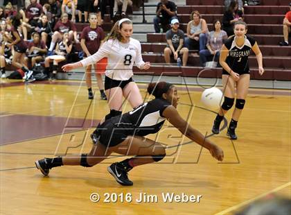 Thumbnail 2 in Fivay @ Wiregrass Ranch photogallery.