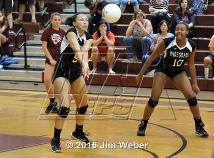 Thumbnail 3 in Fivay @ Wiregrass Ranch photogallery.
