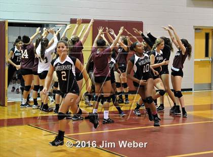 Thumbnail 3 in Fivay @ Wiregrass Ranch photogallery.