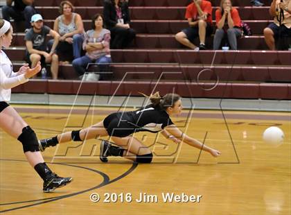 Thumbnail 2 in Fivay @ Wiregrass Ranch photogallery.