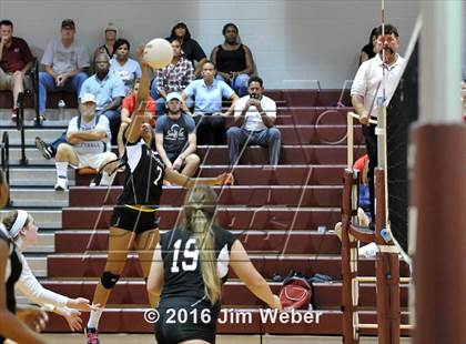 Thumbnail 3 in Fivay @ Wiregrass Ranch photogallery.