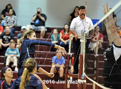 Thumbnail 3 in Fivay @ Wiregrass Ranch photogallery.
