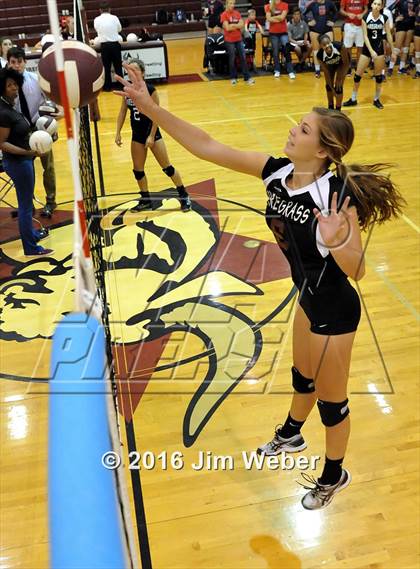 Thumbnail 2 in Fivay @ Wiregrass Ranch photogallery.
