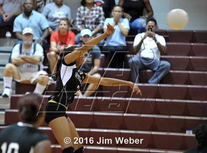 Thumbnail 3 in Fivay @ Wiregrass Ranch photogallery.