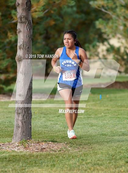 Thumbnail 3 in CHSAA 5A Region 4 Cross Country Meet photogallery.