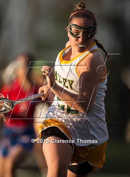 Thumbnail 3 in Park View @ Loudoun Valley photogallery.