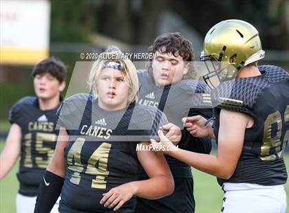 Thumbnail 3 in Citrus @ Hernando photogallery.