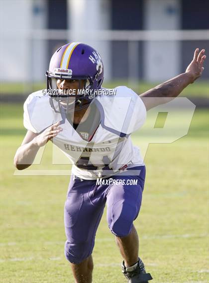 Thumbnail 1 in Citrus @ Hernando photogallery.