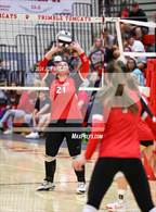 Photo from the gallery "Alexander @ Trimble"