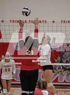 Photo from the gallery "Alexander @ Trimble"