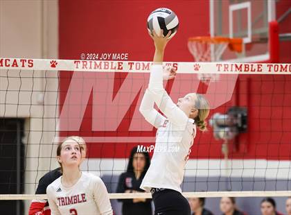 Thumbnail 3 in Alexander @ Trimble photogallery.