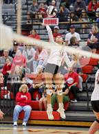 Photo from the gallery "Alexander @ Trimble"