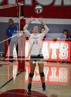 Photo from the gallery "Alexander @ Trimble"
