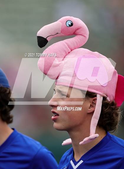 Thumbnail 3 in Shallowater vs. Brock (UIL 3A Region Final) photogallery.