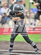 Photo from the gallery "Lamar Consolidated vs. Nederland (UIL Softball 5A Region 3 Area)"