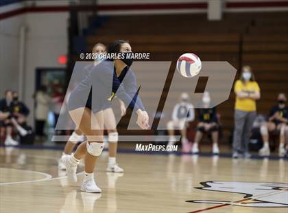 Thumbnail 2 in Terry Sanford photogallery.