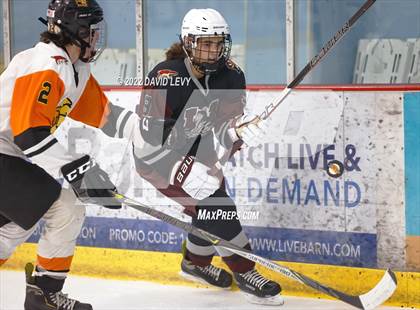 Thumbnail 3 in Hamilton @ Corona photogallery.