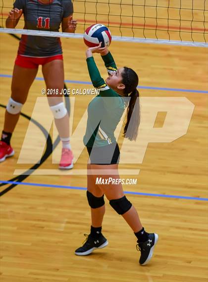 Thumbnail 2 in Rowe [Nikki] vs Lee [Robert E.] (NEISD Volleyball Tournament) photogallery.