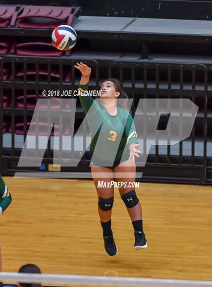 Thumbnail 3 in Rowe [Nikki] vs Lee [Robert E.] (NEISD Volleyball Tournament) photogallery.