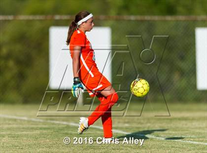 Thumbnail 2 in Dobyns-Bennett @ Sullivan South photogallery.