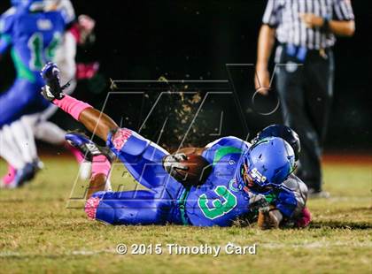 Thumbnail 1 in Taravella @ Coral Springs photogallery.