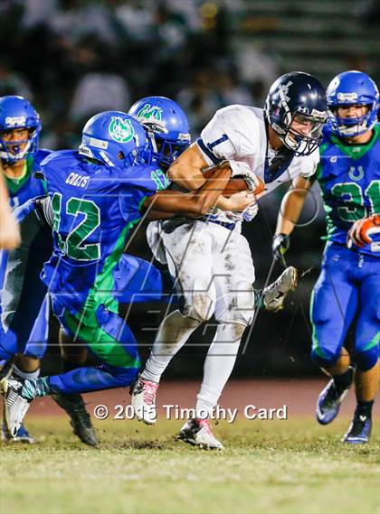 Thumbnail 2 in Taravella @ Coral Springs photogallery.