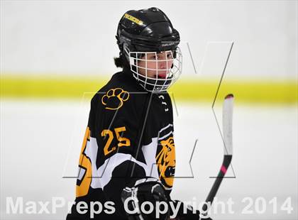 Thumbnail 3 in Daniel Hand vs. North Haven (CIAC DII Quarterfinal) photogallery.
