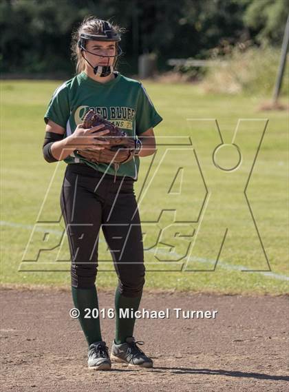 Thumbnail 1 in Shasta @ Red Bluff photogallery.