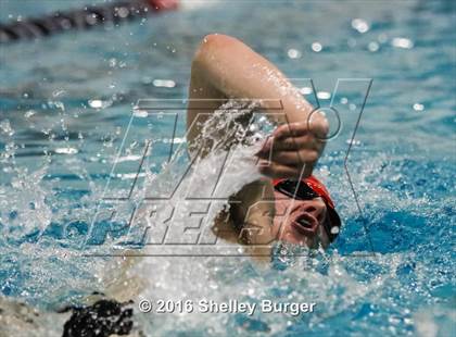 Thumbnail 1 in Fairfield Ludlowe/Warde @Staples photogallery.