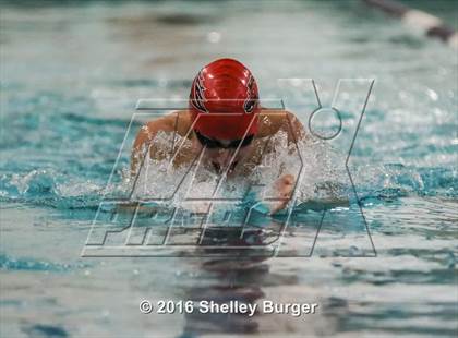 Thumbnail 1 in Fairfield Ludlowe/Warde @Staples photogallery.