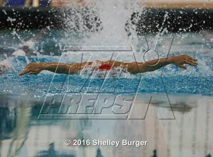 Thumbnail 2 in Fairfield Ludlowe/Warde @Staples photogallery.