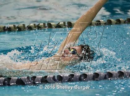 Thumbnail 2 in Fairfield Ludlowe/Warde @Staples photogallery.