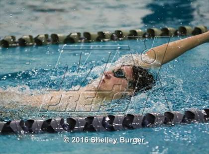 Thumbnail 3 in Fairfield Ludlowe/Warde @Staples photogallery.
