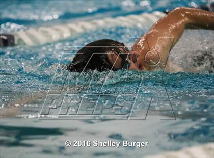 Thumbnail 2 in Fairfield Ludlowe/Warde @Staples photogallery.