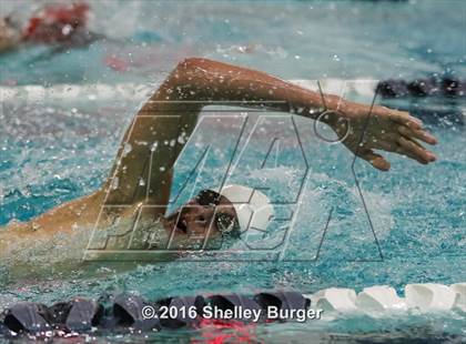Thumbnail 1 in Fairfield Ludlowe/Warde @Staples photogallery.