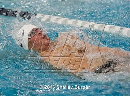 Thumbnail 1 in Fairfield Ludlowe/Warde @Staples photogallery.