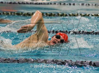 Thumbnail 1 in Fairfield Ludlowe/Warde @Staples photogallery.
