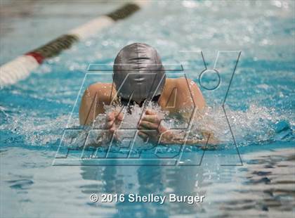 Thumbnail 1 in Fairfield Ludlowe/Warde @Staples photogallery.