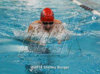 Thumbnail 2 in Fairfield Ludlowe/Warde @Staples photogallery.