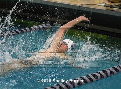 Thumbnail 1 in Fairfield Ludlowe/Warde @Staples photogallery.