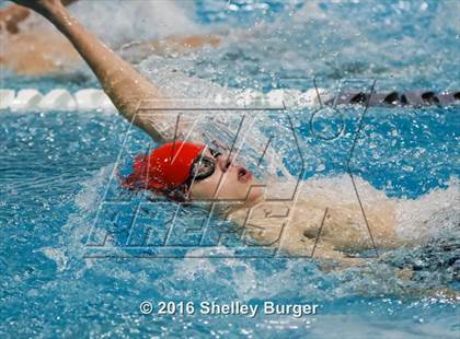 Thumbnail 2 in Fairfield Ludlowe/Warde @Staples photogallery.