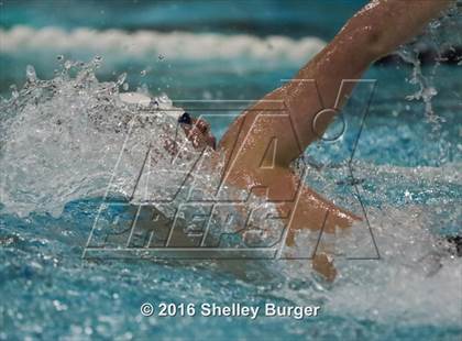 Thumbnail 3 in Fairfield Ludlowe/Warde @Staples photogallery.